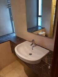 Residences @ Evelyn (D11), Condominium #437993931